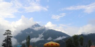 Jakie atrakcje w górach są przyjazne dla rodzin z dziećmi? Photo Mountain playground