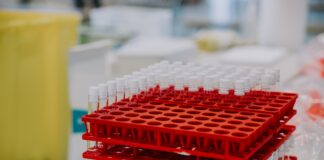 Fakty i mity o szczepieniach dzieci Photo Vaccination schedule