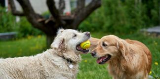 Jakie nawyki zdrowotne warto wprowadzić całą rodziną? Photo Family exercising