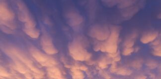 Oszczędzanie w domu – sprytne sposoby na niższe rachunki Photo Energy-efficient appliances