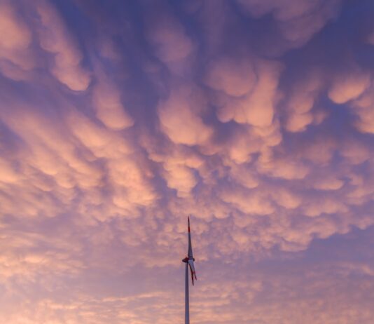 Oszczędzanie w domu – sprytne sposoby na niższe rachunki Photo Energy-efficient appliances