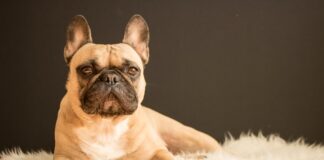 Jakie są najczęstsze objawy alergii u dzieci i jak sobie z nimi radzić? Photo Runny nose