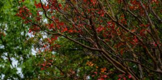 Pomysły na DIY dekoracje do domu z dziećmi Photo Handmade garland