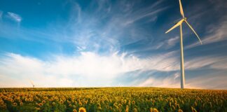 Jak oszczędzać na rachunkach, prowadząc rodzinne gospodarstwo domowe? Photo Energy-efficient appliances