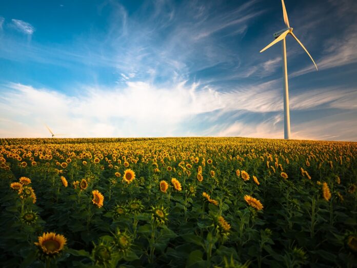 Photo Energy-efficient appliances