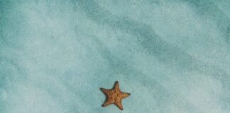 Gdzie pojechać nad morze z dzieckiem? Najlepsze plaże i atrakcje Photo Family-friendly beach