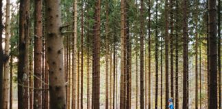 Najlepsze miejsca na camping z dziećmi w Polsce Photo camping with kids in Poland